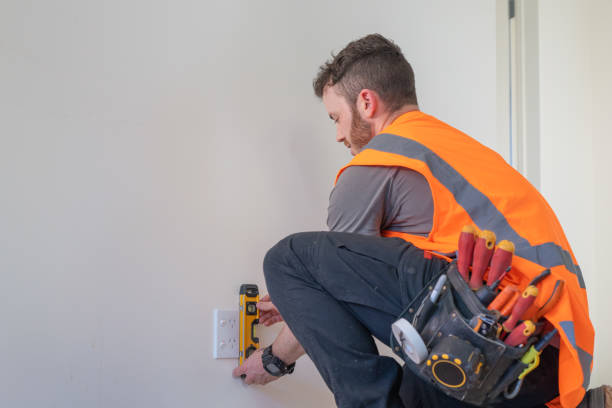 Best Ceiling Fan Installation Electrician  in Funny River, AK